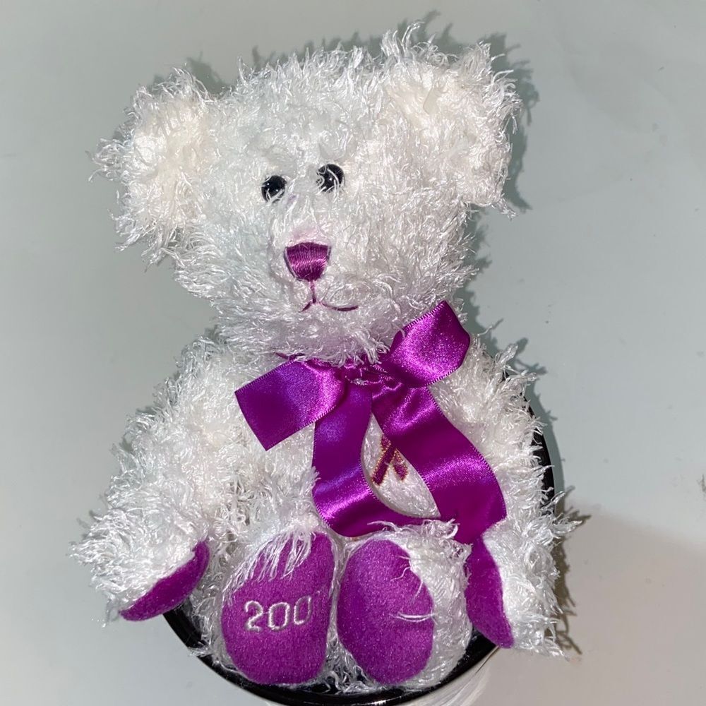 10/$50 VTG,2007 White Teddy Bear with Purple Accents Kids Toy For Ages 3 Years